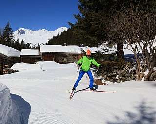 Cross-country skiing in winter A skier glides through snow-covered landscape near wooden cabins.