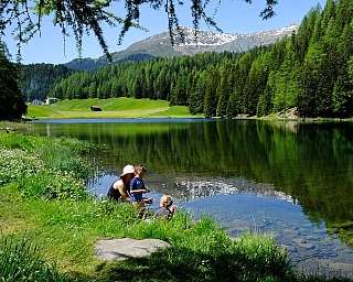 Family by a serene lake A family enjoying time by a tranquil lake surrounded by greenery.