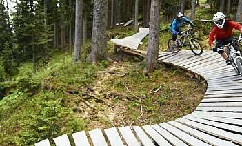 Mountain Biking on Wooden Path Two cyclists riding on a wooden trail in a forest.